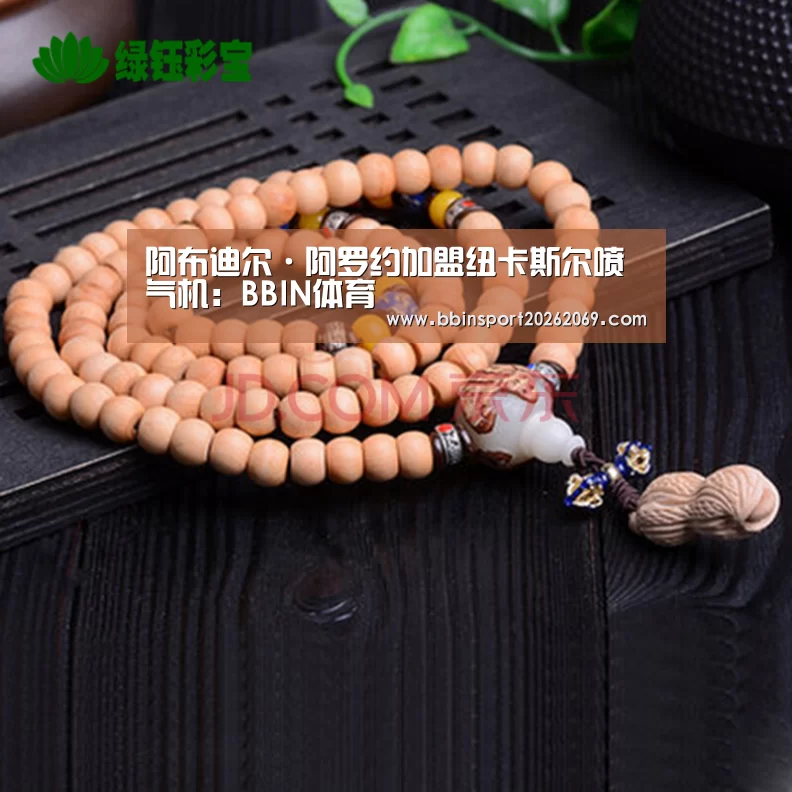 阿布迪尔·阿罗约加盟纽卡斯尔喷气机:BBIN体育(图1) BBIN体育