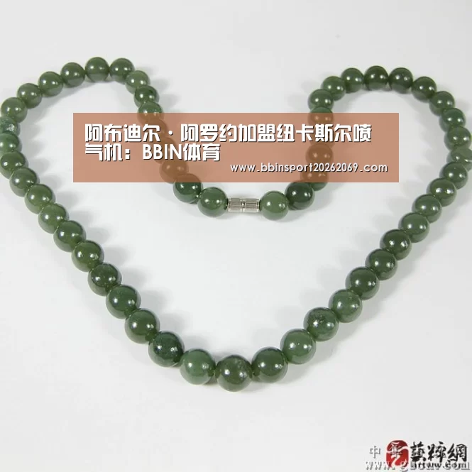 阿布迪尔·阿罗约加盟纽卡斯尔喷气机:BBIN体育(图3) BBIN体育