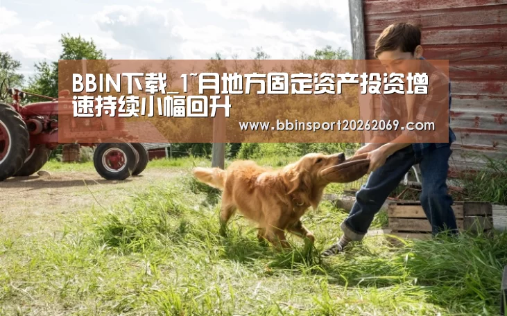 BBIN下载