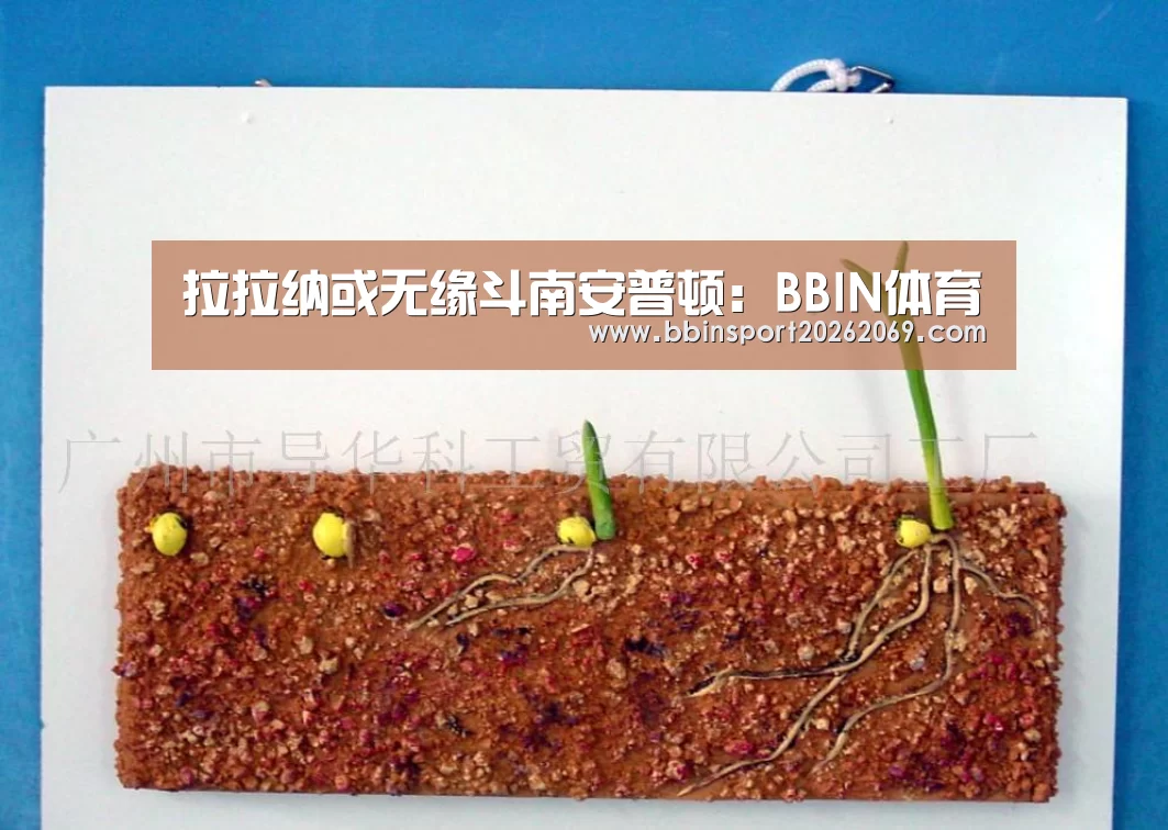 拉拉纳或无缘斗南安普顿:BBIN体育(图3) BBIN下载