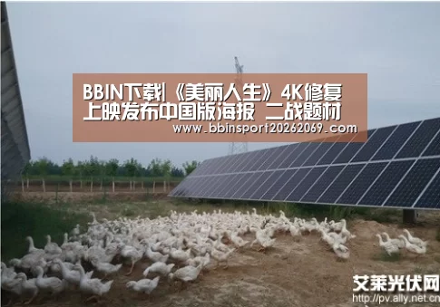 BBIN下载|《美丽人生》4K修复上映发布中国版海报 二战题材下“最伟大的喜剧”(图2) BBIN电竞