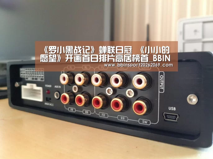《罗小黑战记》蝉联日冠 《小小的愿望》开画首日排片高居榜首_BBIN电竞(图1) BBIN下载