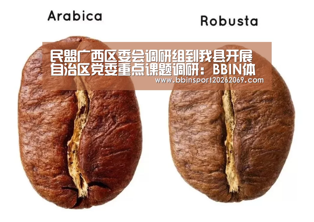 BBIN下载