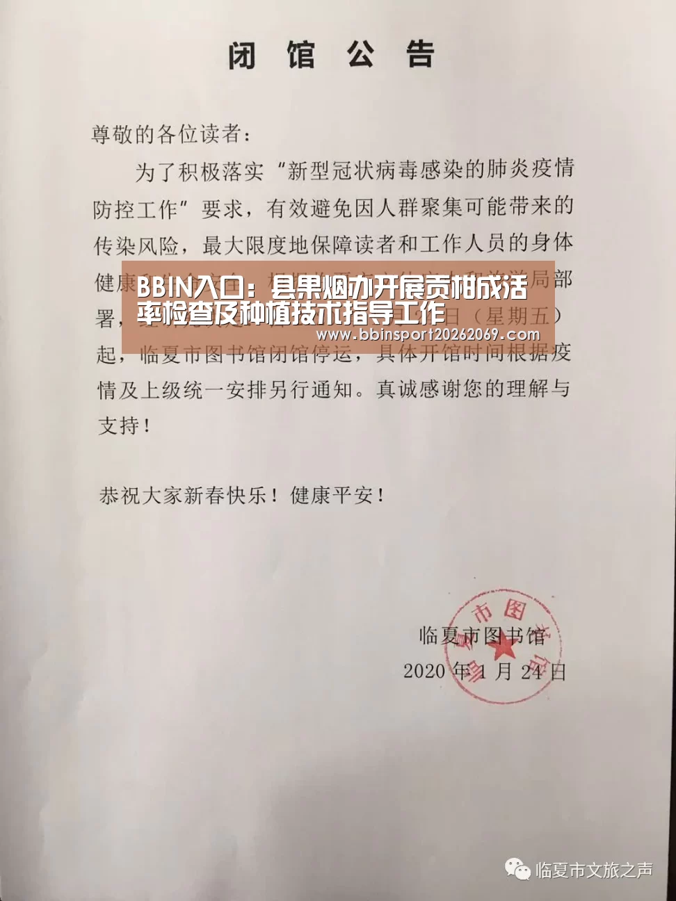 BBIN下载